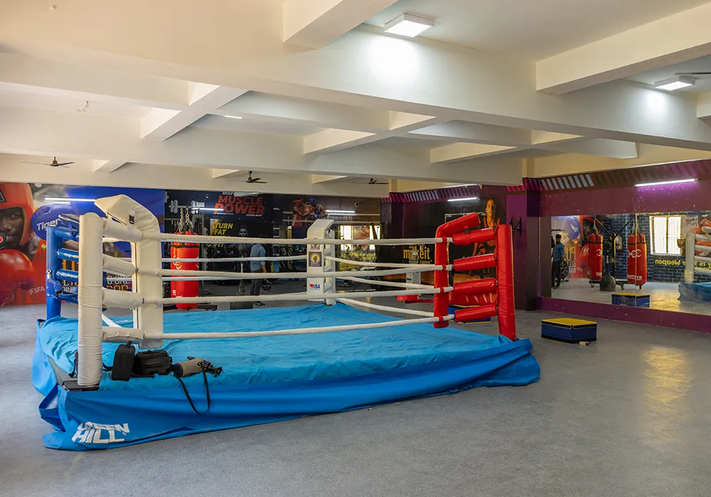 SDAT – Boxing