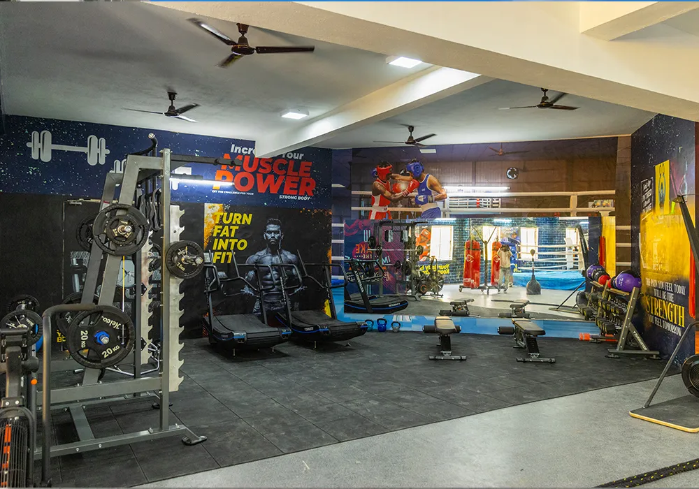 SDAT – Boxing