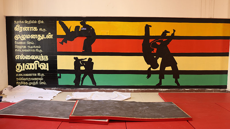 judo